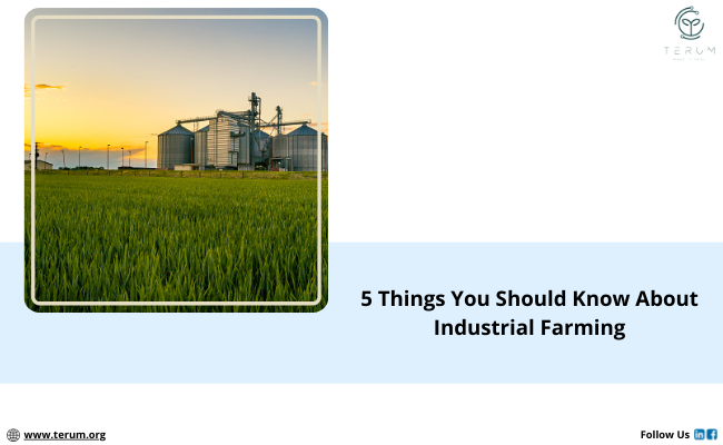 Effects of modern agriculture