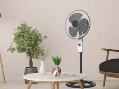 Pedestal Fan