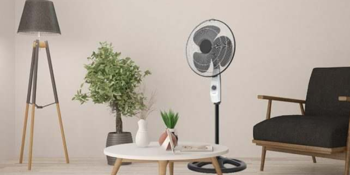 Pedestal Fan